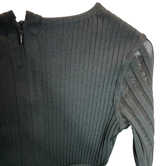 F&P Black Ribbed Dress with Plunging Neckline and Sheer Ribbed Sleeves - Picture 5 of 10